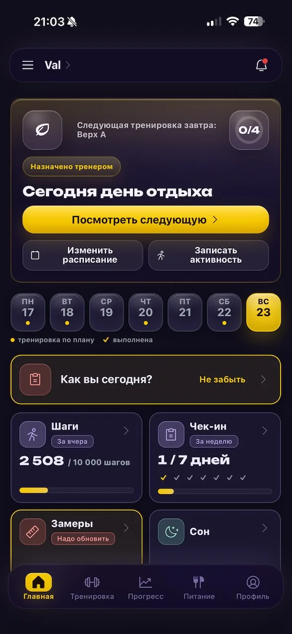 Главный экран приложения с планом на день