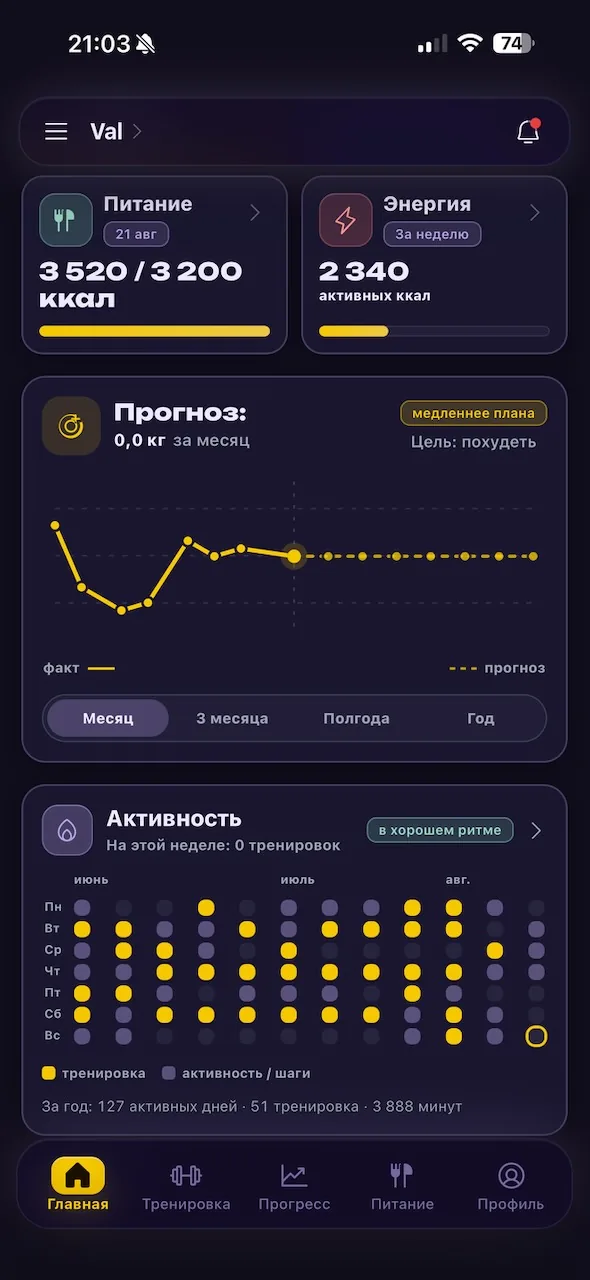 Главный экран приложения со сводкой прогресса